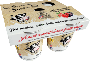 Pack Yaourt aromatisé Fruits Rouges