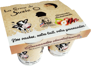 Pack Crème dessert Chocolat Noisette